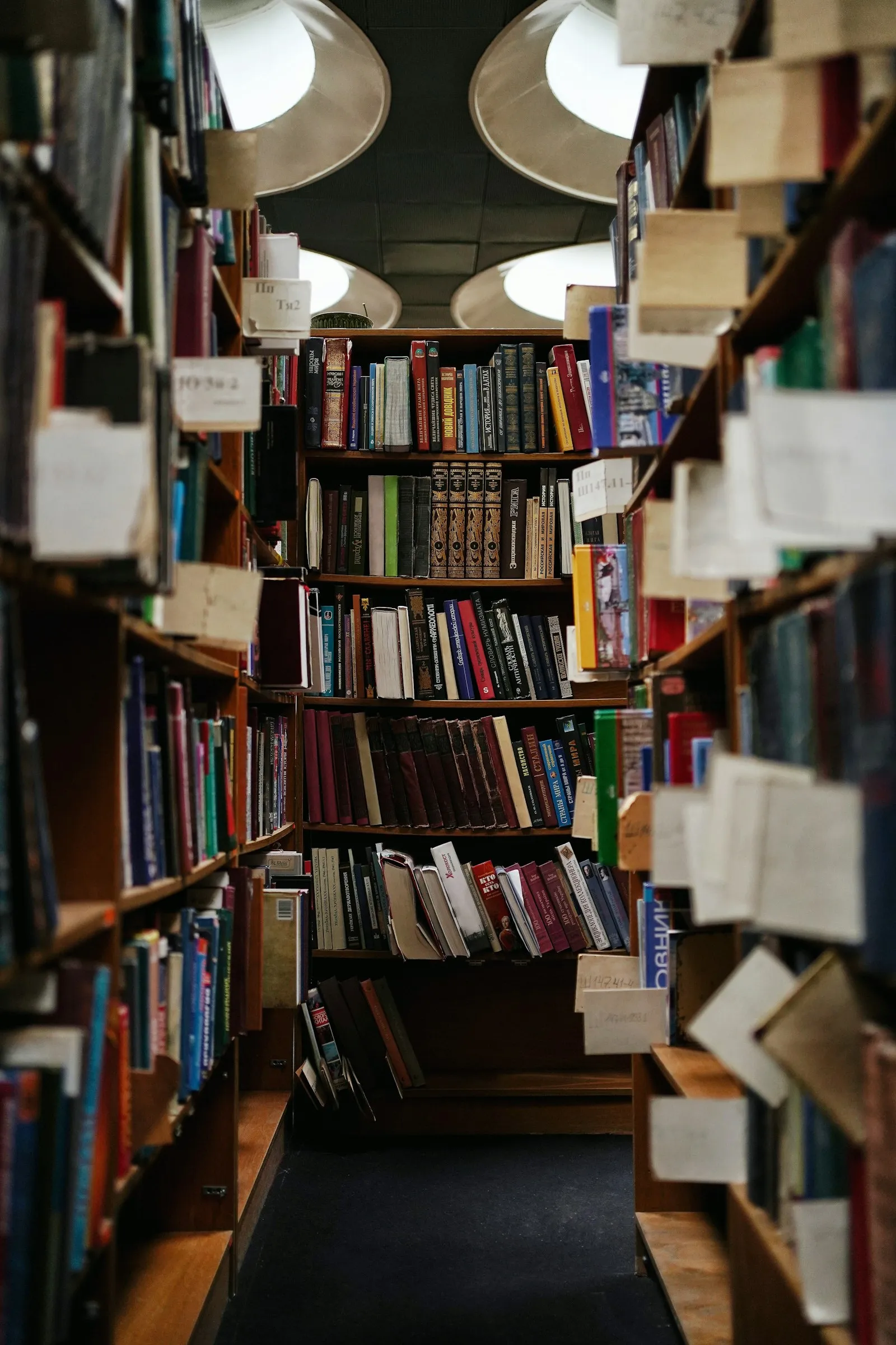 Books on wooden library shelves
