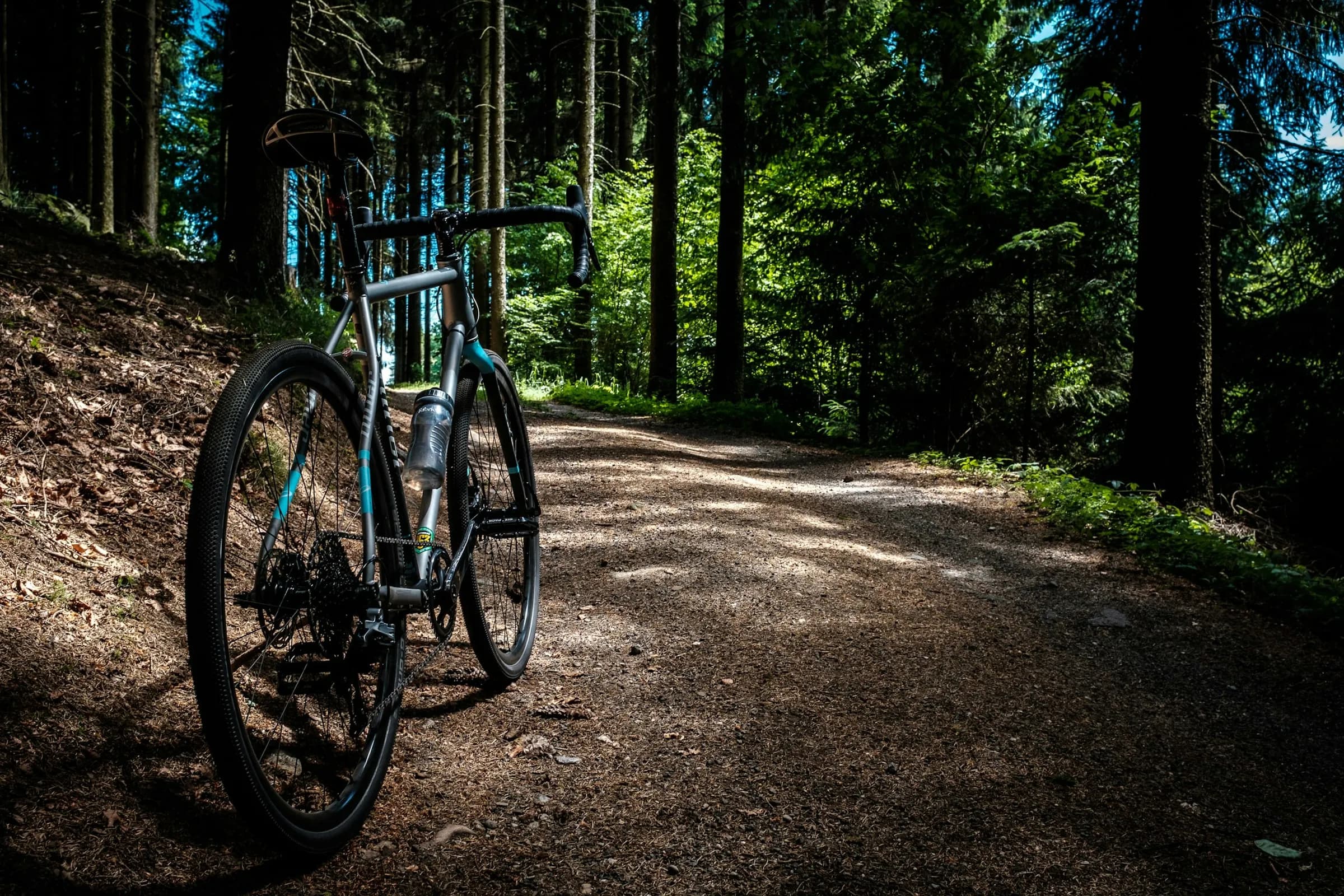 Road bicycle beside woodland